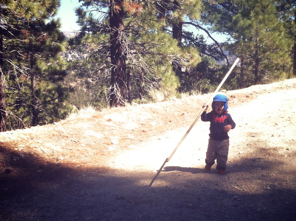 Hiking stick