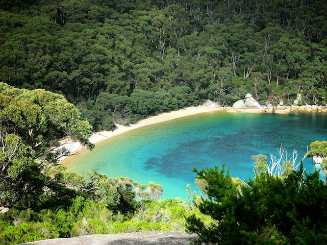 Near Refuge Cove