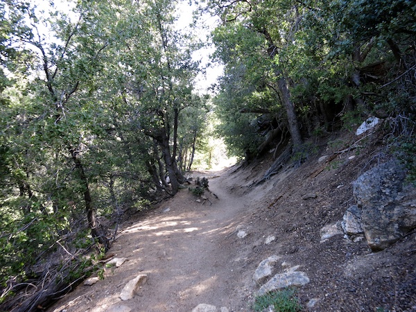 Devil's Slide Trail