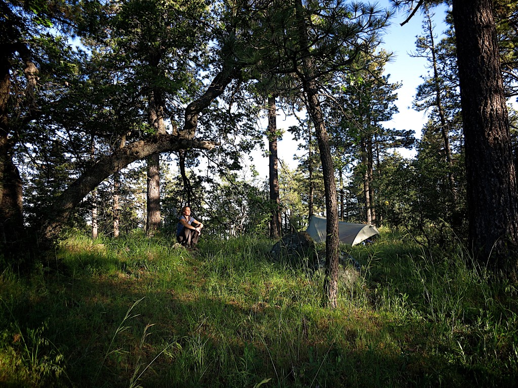 Kid-Hikes-PCT-Mt-Laguna 15