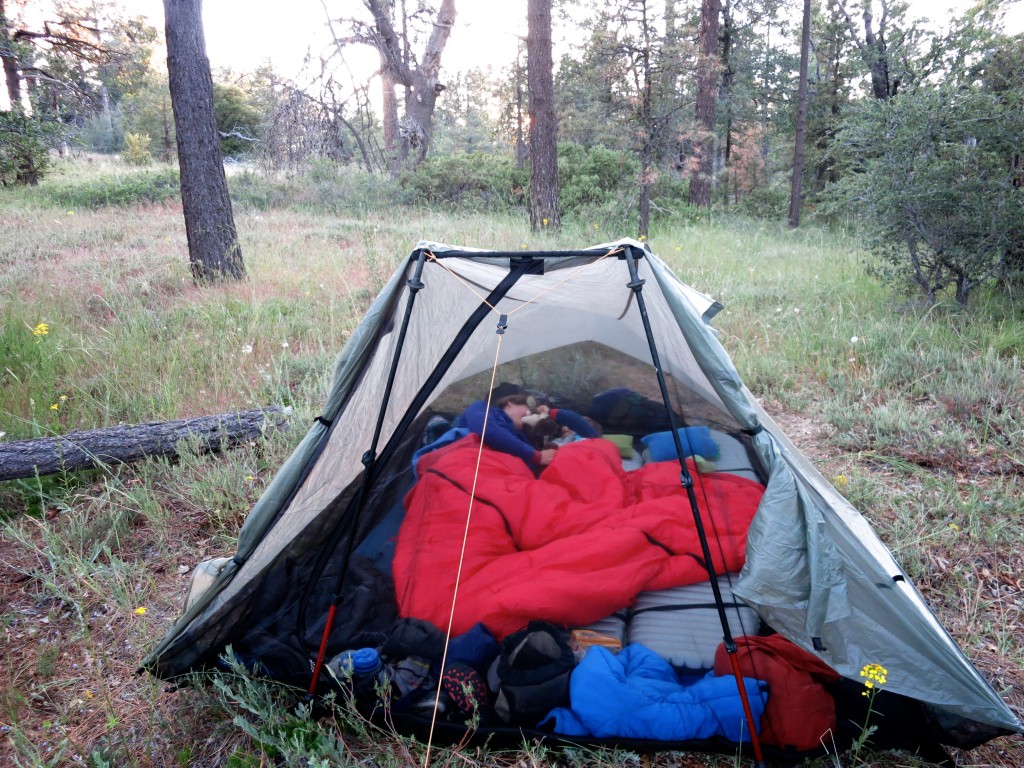 Kid-Hikes-PCT-Mt-Laguna 16