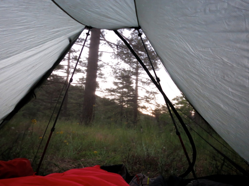 Kid-Hikes-PCT-Mt-Laguna 17