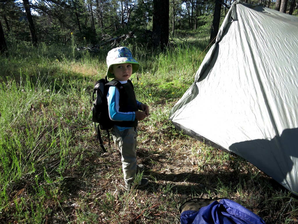 Kid-Hikes-PCT-Mt-Laguna 21