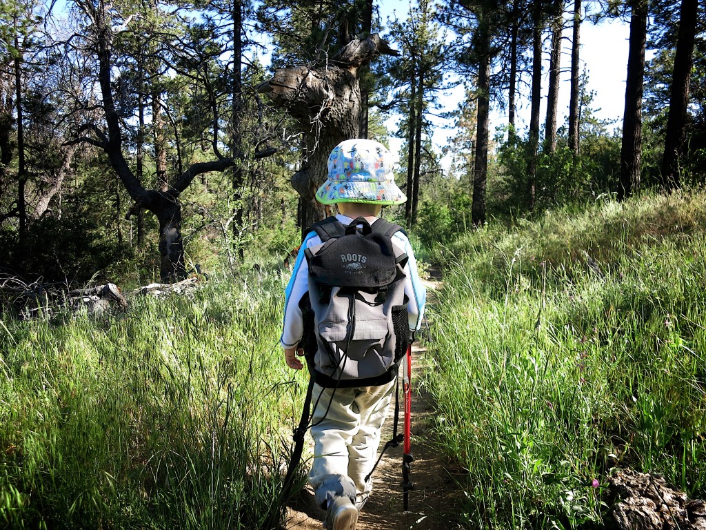 Kid-Hikes-PCT-Mt-Laguna 28