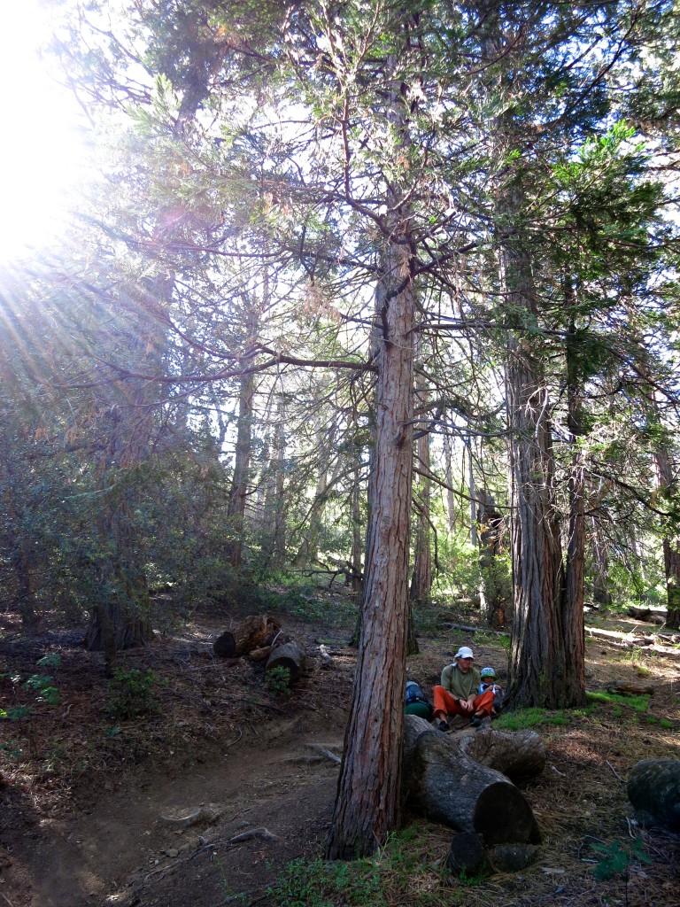 Kid-Hikes-PCT-Mt-Laguna 30