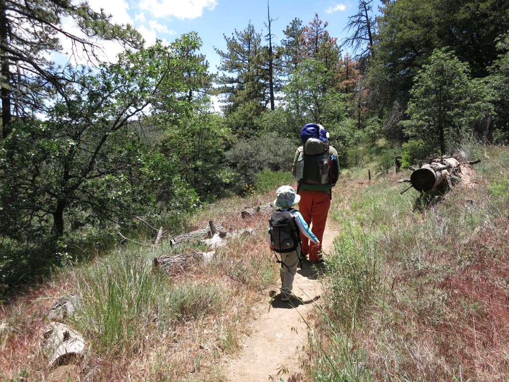 Kid-Hikes-PCT-Mt-Laguna 6