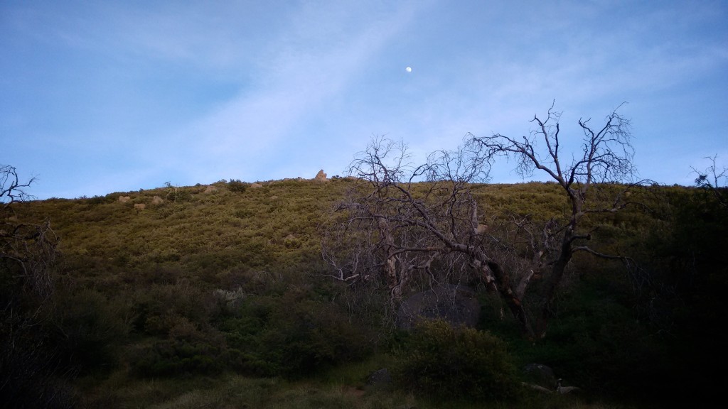 Moonrise near Long Creek