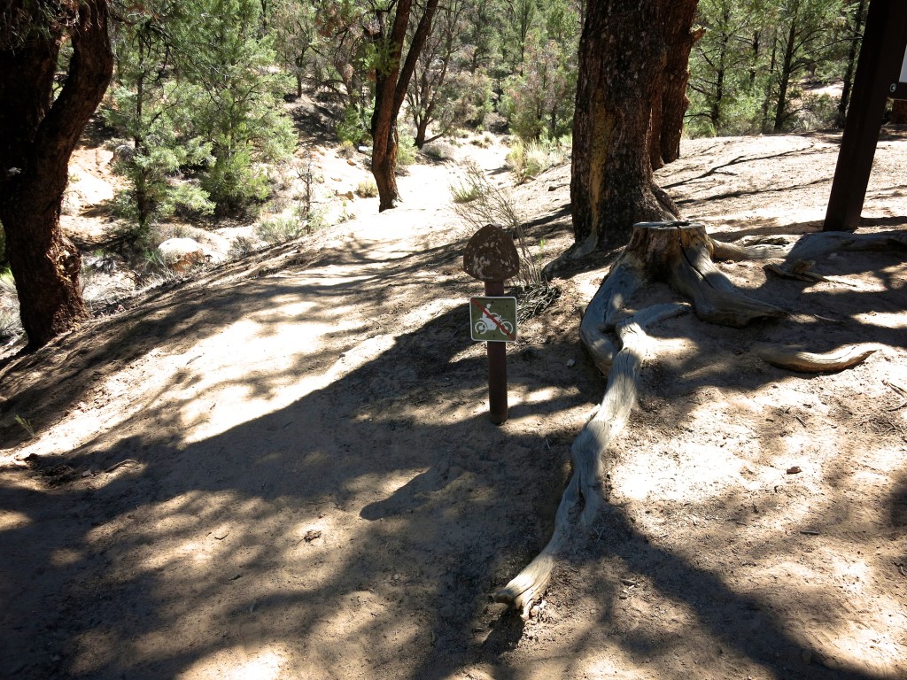 Hike-Kennedy-Meadows 3