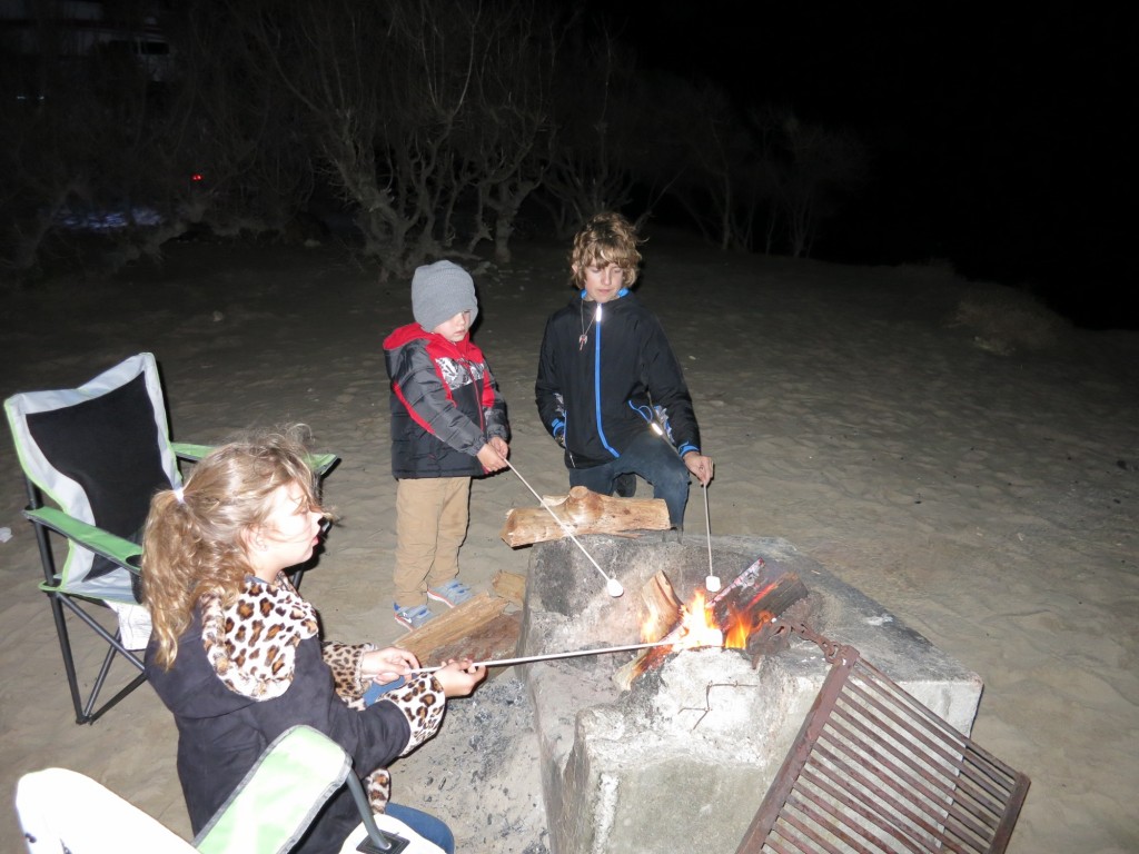 Roasting marshmallows for 'smores.