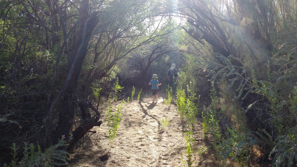 Magic trail to the Colorado River