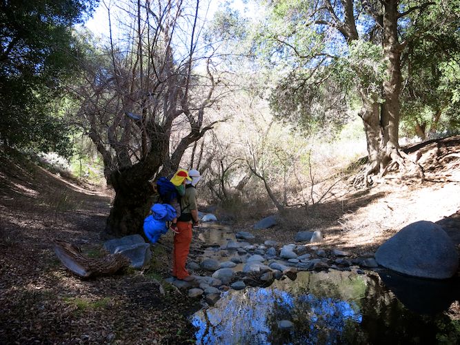 Kitchen Creek Road PCT 10 Hunter Walkabout