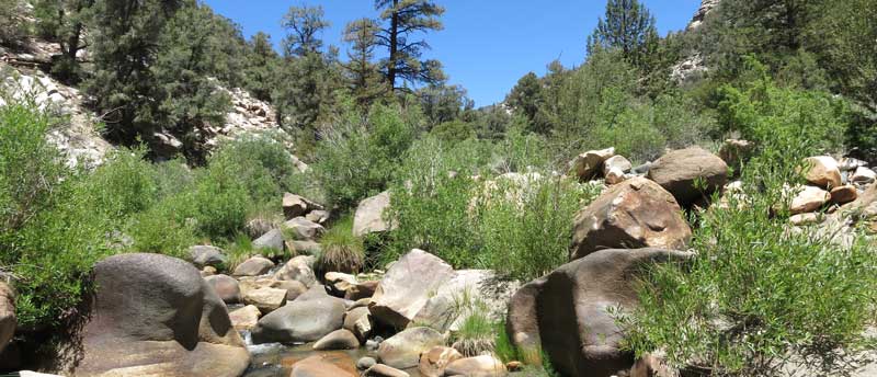 South Fork Kern River